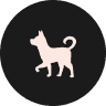 Un chien qui s’échappe?
