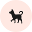 chien chien